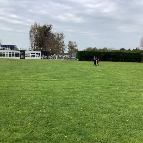 IMG-3005