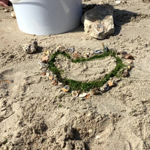 IMG0371