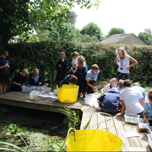 ponddipping2
