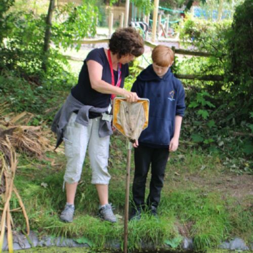 ponddipping3