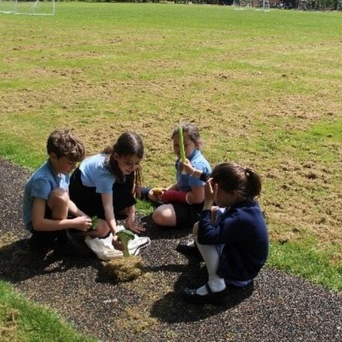 Y3WildlifeOfficer14