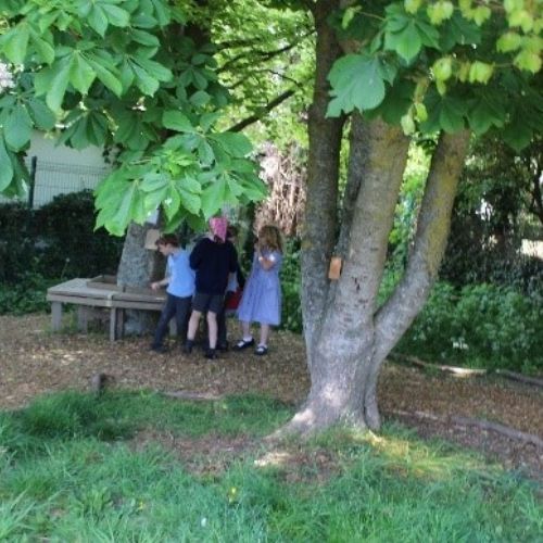 Y3WildlifeOfficer3