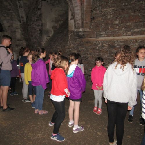 IMG_3351(1)