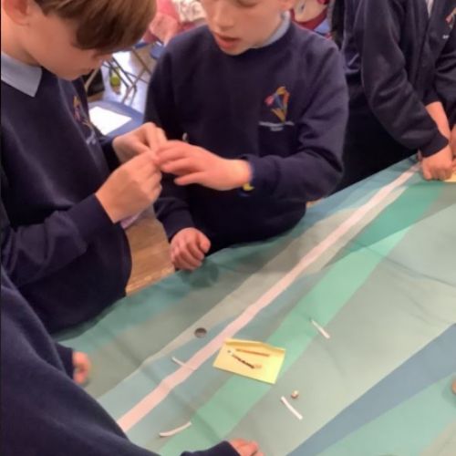STEM17